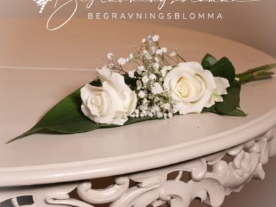 vit ros med brudslöja