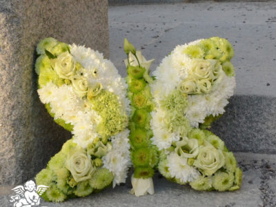 blomsterfjäril
