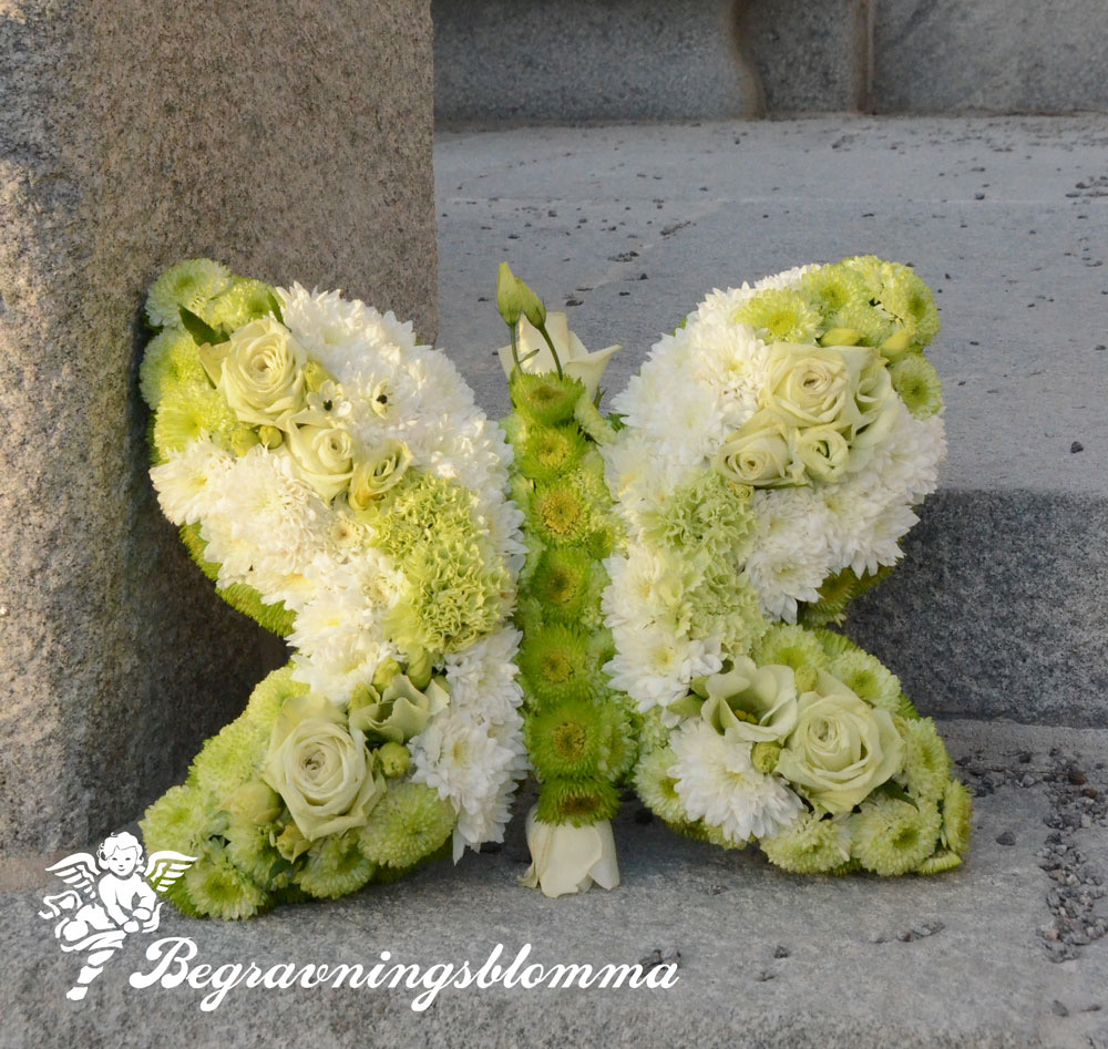 blomsterfjäril