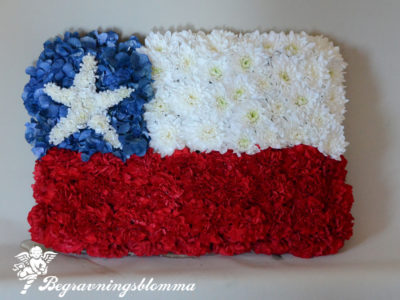 Flagga Chile