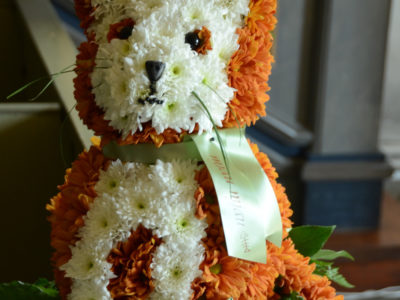 Katt (Orange/vit)