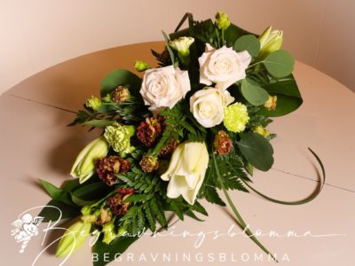 Liggande arr liten(Amadeus)